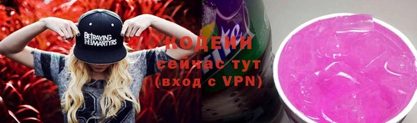 стаф Карпинск
