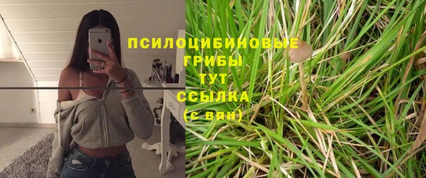 ECSTASY Киренск
