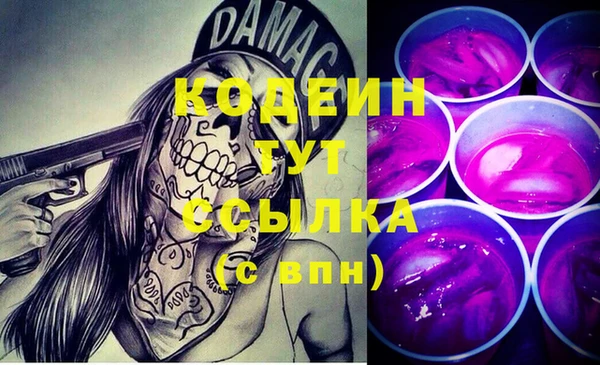 стаф Карпинск