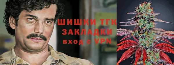 стаф Карпинск
