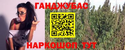 не бодяженный Гатчина
