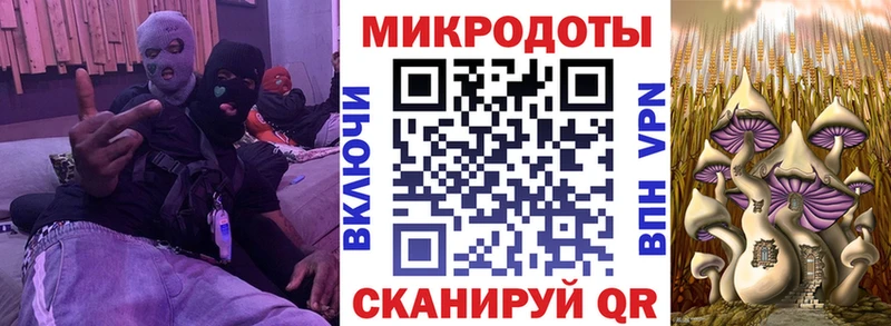 OMG зеркало  Ишимбай  Псилоцибиновые грибы Magic Shrooms  купить  сайты 
